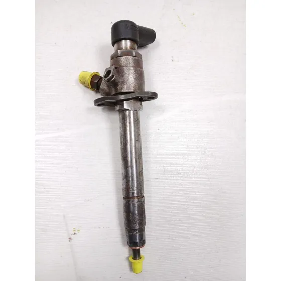 Inyector para Citroën C6