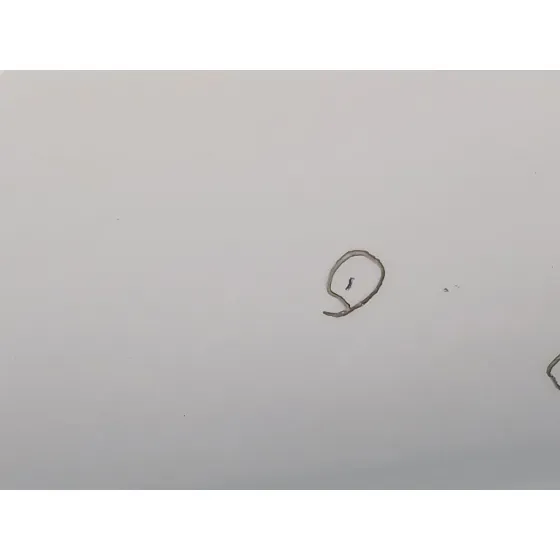 Puerta Trasera Izquierda para Mercedes-Benz Clase C (W204)