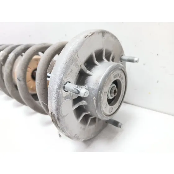 Amortiguador Trasero Derecho para Bmw Serie 5 Lim. (F10)
