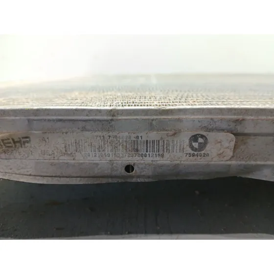 Radiador Agua para Bmw X6 (E71, E72)