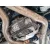 Diferencial Trasero para Bmw X6 (E71, E72)