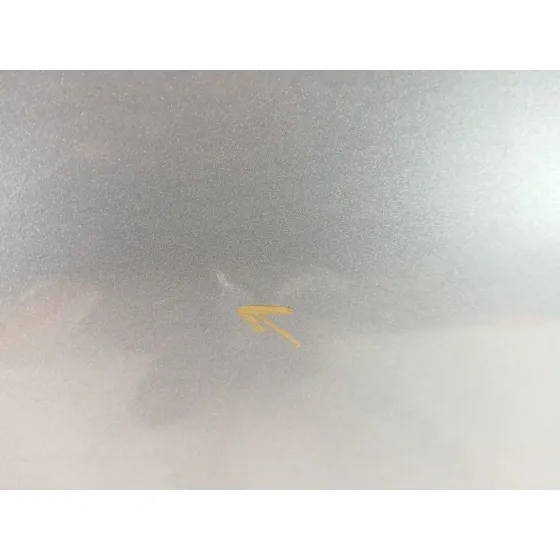 Puerta Delantera Izquierda para Jaguar Xf I (X250)
