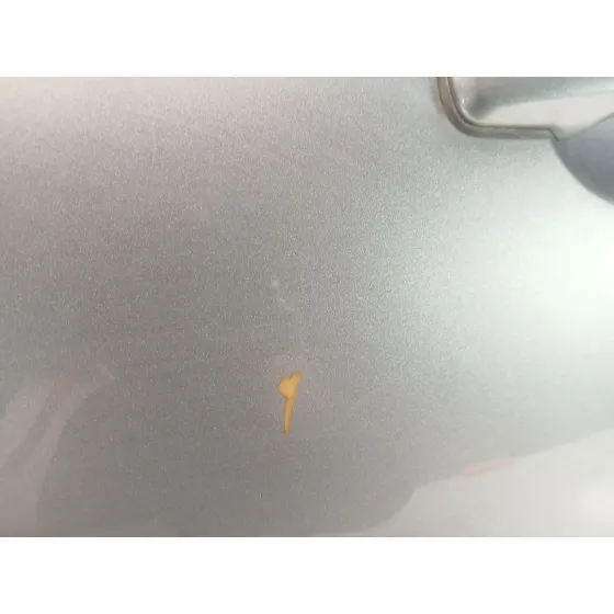 Puerta Delantera Izquierda para Jaguar Xf I (X250)