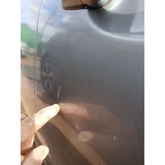 Puerta Delantera Derecha para Jaguar Xf I (X250)