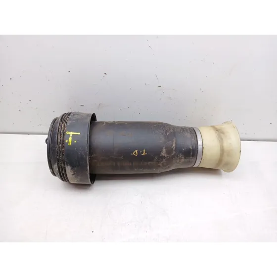 Amortiguador Trasero Derecho para Bmw X6 (E71, E72)