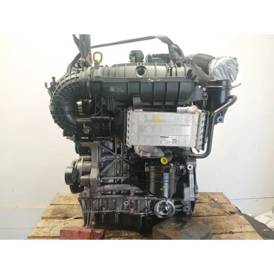 Motor Completo para Volkswagen T-Roc (A11, D11)