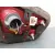 Piloto Trasero Derecho Interior para Kia Sportage Iii (Sl)
