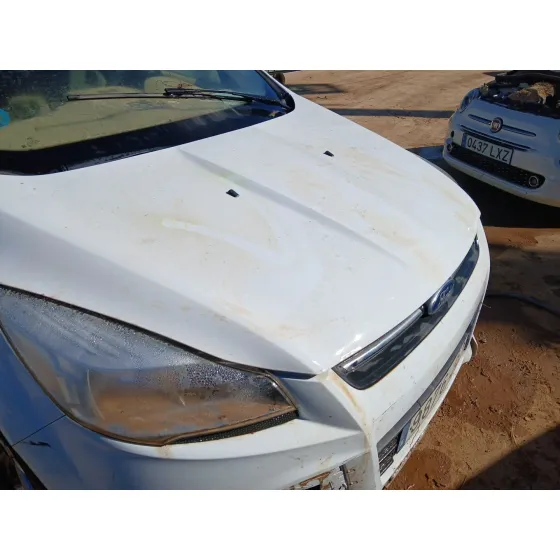 Capot para Ford Kuga Ii (Dm2)