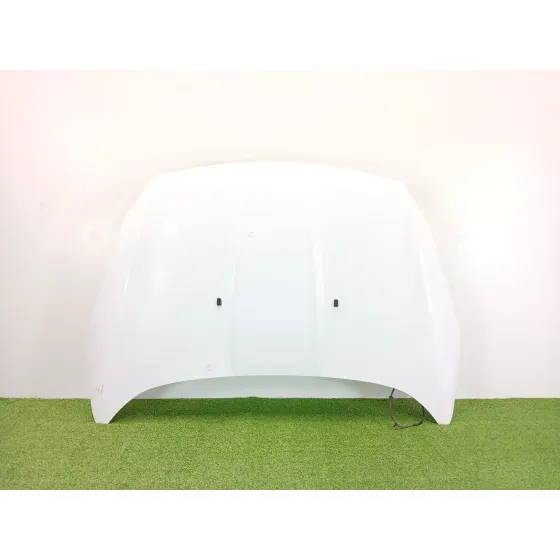 Capot para Ford Kuga Ii (Dm2)