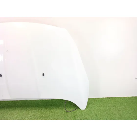 Capot para Ford Kuga Ii (Dm2)