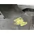 Paragolpes Delantero para Bmw 5 (F10)