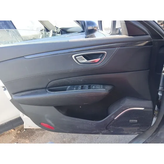 Guarnecido Puerta Delantera Izquierda para Renault Talisman Grandtour (Kp_)