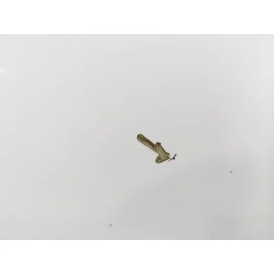 Puerta Trasera Izquierda para Kia Sportage Iii (Sl)
