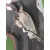 Paragolpes Trasero para Mazda Cx-3 (Dk)