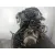 Despiece Motor para Peugeot 307 (3A/C)