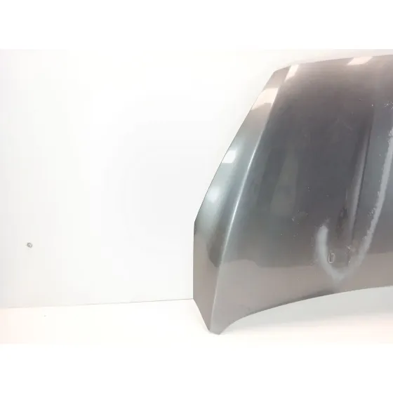 Capot para Ford Focus Iii