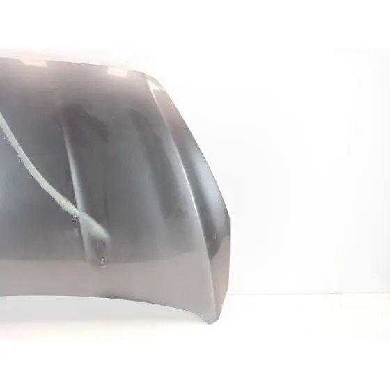 Capot para Ford Focus Iii