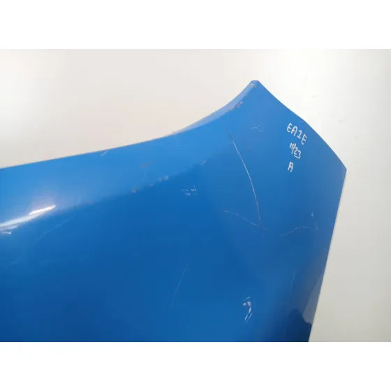 Paragolpes Delantero para Ford Focus