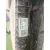 Radiador Agua para Audi Q3 Sportback (F3N)