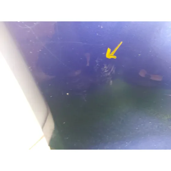 Paragolpes Delantero para Ford Focus Iii