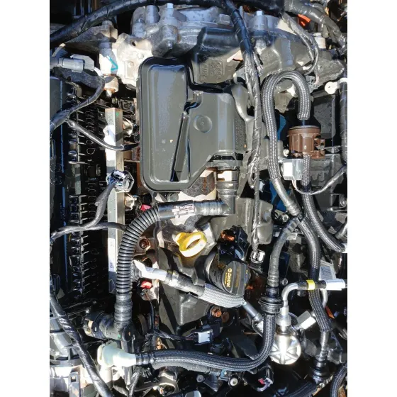 Motor Completo para Ford Kuga Iii (Dfk)