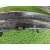 Paragolpes Delantero para Audi A5 (F53, F5P)
