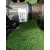 Diferencial Trasero para Volvo Xc60 Ii (246)