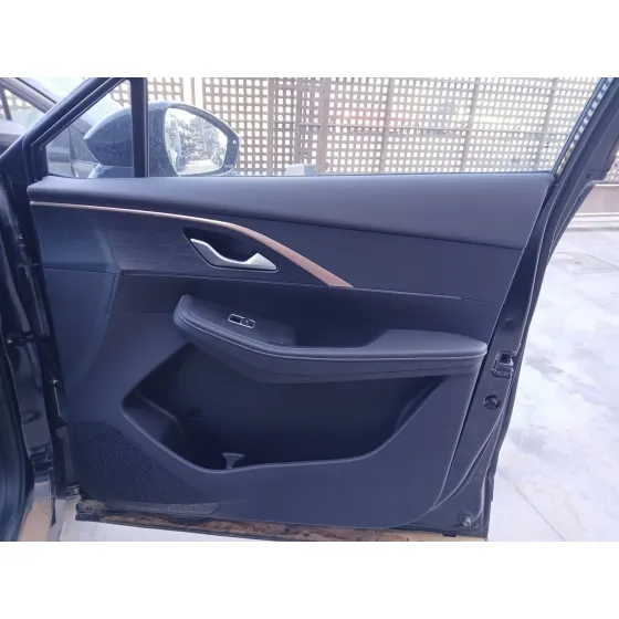 Guarnecido Puerta Delantera Derecha para Omoda 5