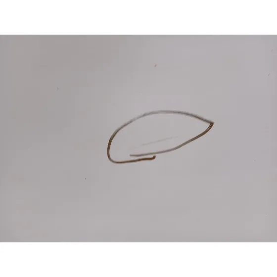 Puerta Delantera Derecha para Peugeot Boxer Furgoneta