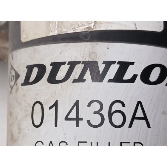 Amortiguador Delantero Izquierdo para Land Rover Range Rover (Lm)