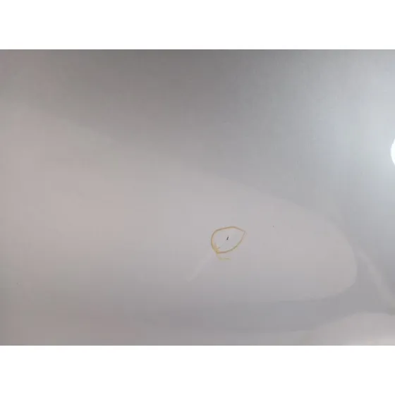 Puerta Trasera Izquierda para Mg Zs Suv (Azs1)