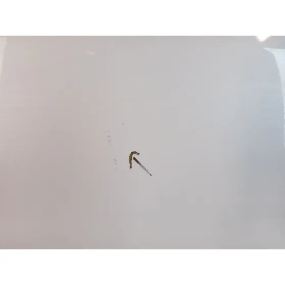 Puerta Trasera Izquierda para Mazda 3 Sedan (Bm_, Bn_)