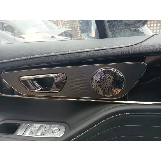 Guarnecido Puerta Delantera Izquierda para Omoda 5