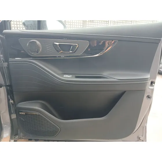 Guarnecido Puerta Delantera Derecha para Omoda 5