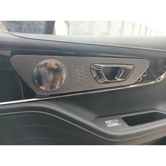 Guarnecido Puerta Delantera Derecha para Omoda 5
