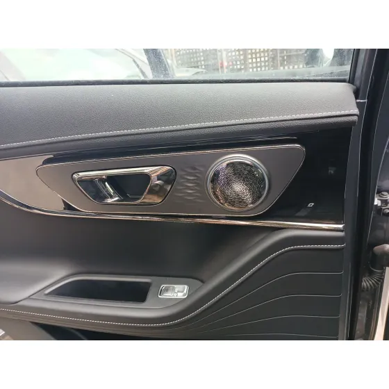 Guarnecido Puerta Trasera Izquierda para Omoda 5