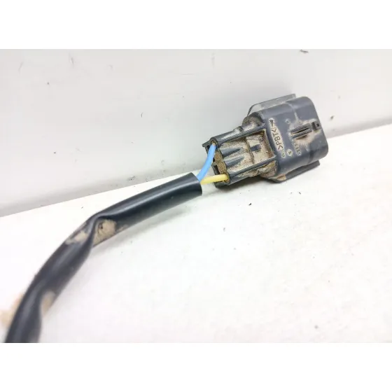 Maneta Porton para Nissan Qashqai Ii (J11, J11_)