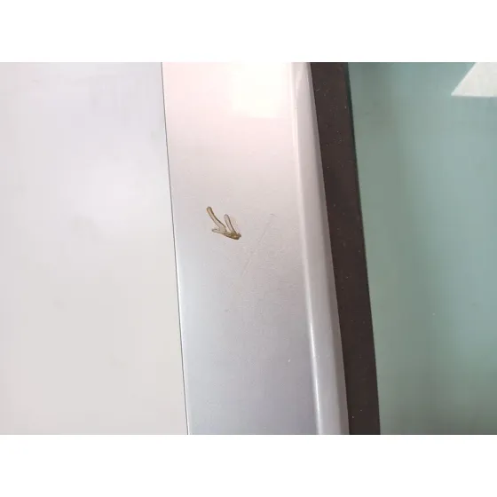 Puerta Delantera Derecha para Nissan Pathfinder Iii (R51)