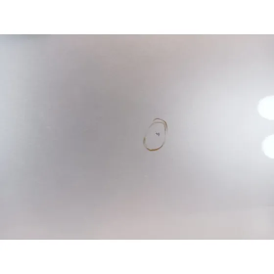 Puerta Delantera Derecha para Nissan Pathfinder Iii (R51)