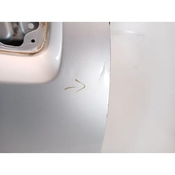 Puerta Delantera Derecha para Nissan Pathfinder Iii (R51)