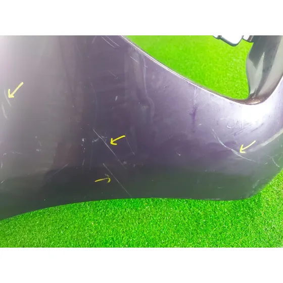Paragolpes Delantero para Renault Zoe (Bfm_)