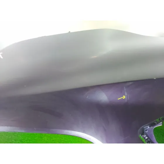 Paragolpes Delantero para Renault Zoe (Bfm_)