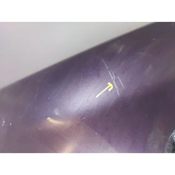 Paragolpes Delantero para Renault Zoe (Bfm_)