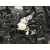 Elevalunas Delantero Izquierdo para Mercedes-Benz Gla (H247)