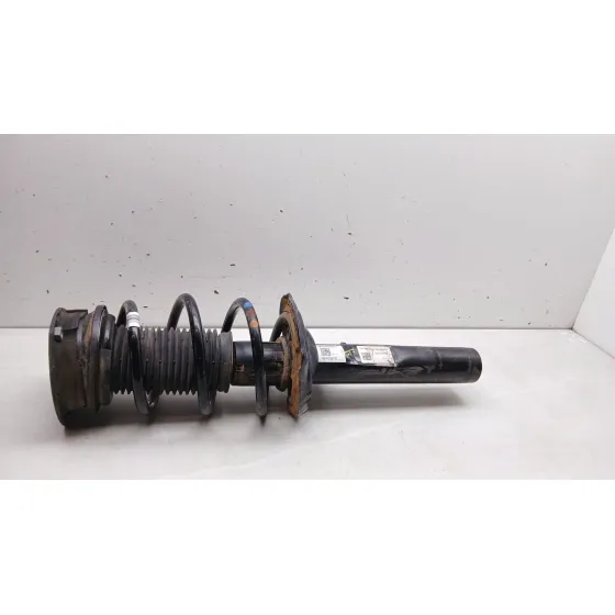 Amortiguador Delantero Izquierdo para Volkswagen Tiguan (Ad1, Ax1)