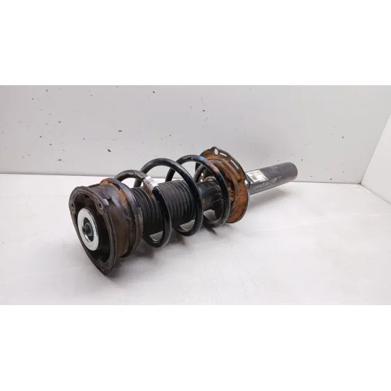 Amortiguador Delantero Izquierdo para Volkswagen Tiguan (Ad1, Ax1)