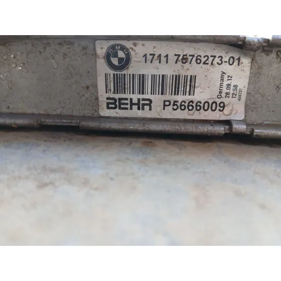 Radiador Agua para Bmw X6 (E71, E72)
