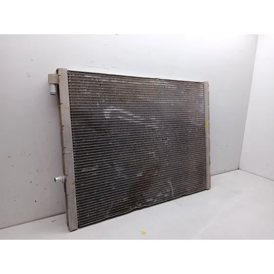 Radiador Agua para Bmw X6 (E71, E72)