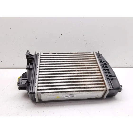 Intercooler para Renault Clio V (B7_)