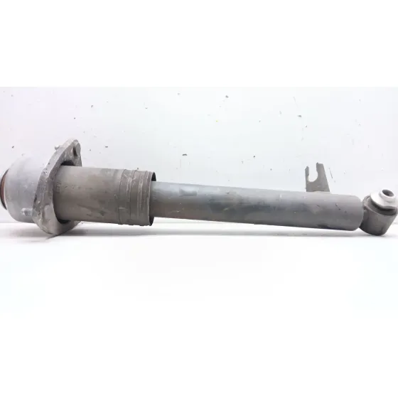 Amortiguador Trasero Derecho para Bmw X5 (E70)